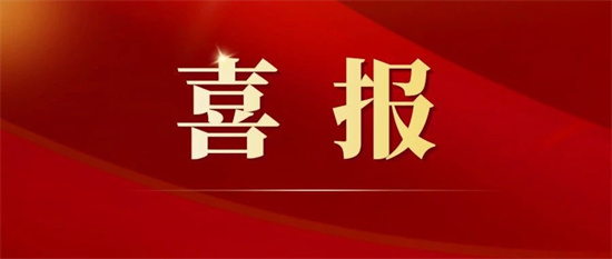 重磅！福鼎捧回全國平安建設最高獎！