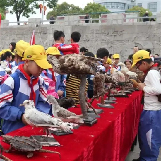 福鼎兩項志愿服務(wù)項目榮獲省級獎項