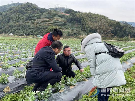 200多名農(nóng)技人員“下沉”一線 指導做好防寒防凍工作