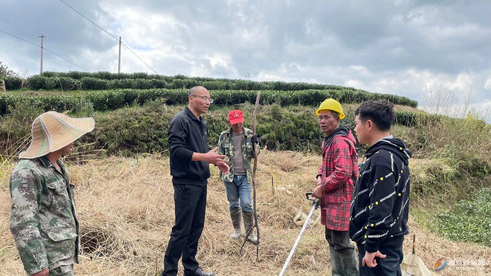 出臺惠農(nóng)政策 拋荒整治再發(fā)力