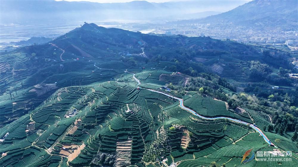 點頭：茶旅融合助力綠水青山變金山銀山