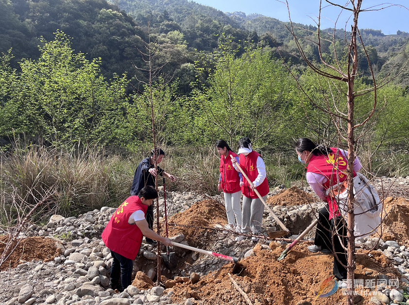 我市建立“互聯(lián)網(wǎng)+全民義務植樹”基地