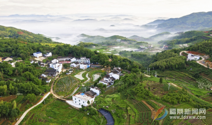 佳山村：厚植“紅色”底蘊 激發(fā)鄉(xiāng)村活力