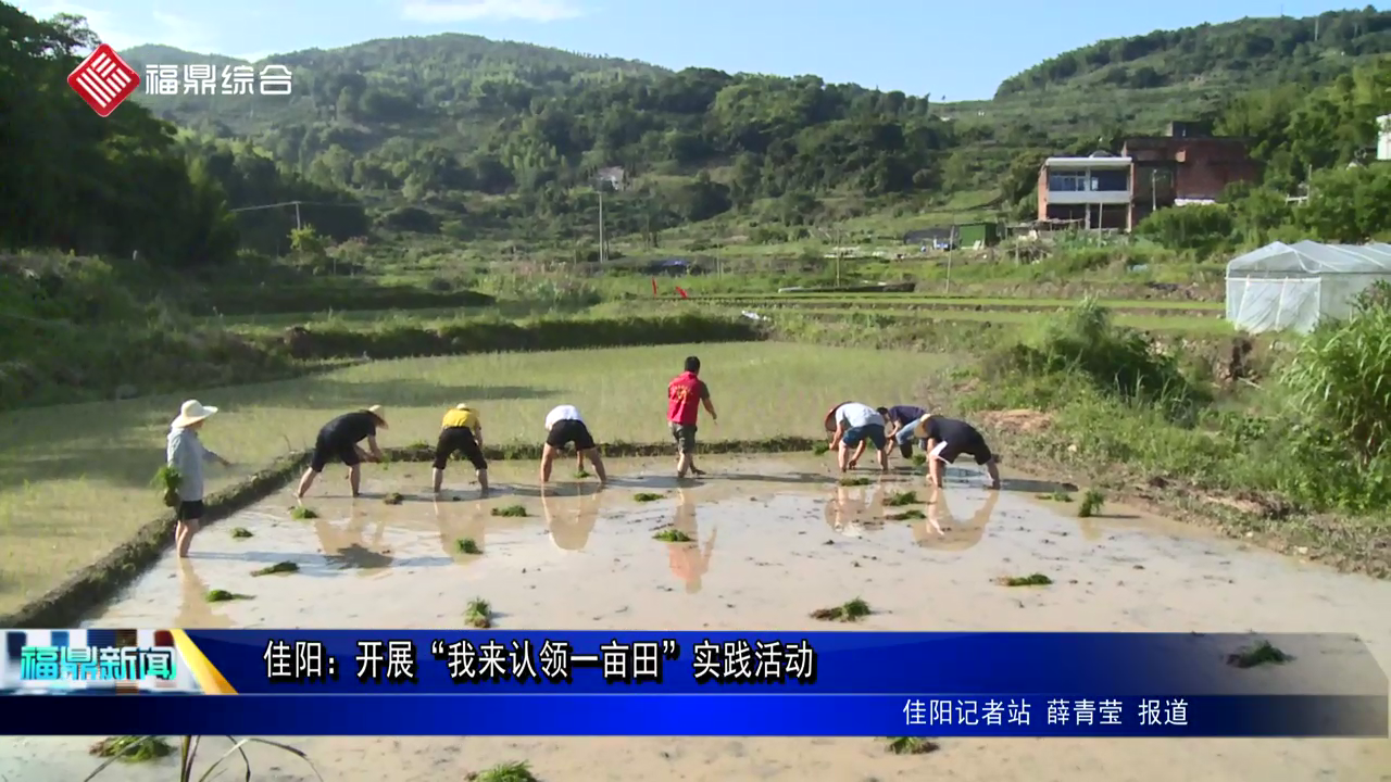 佳陽：開展“我來認(rèn)領(lǐng)一畝田”實(shí)踐活動(dòng)