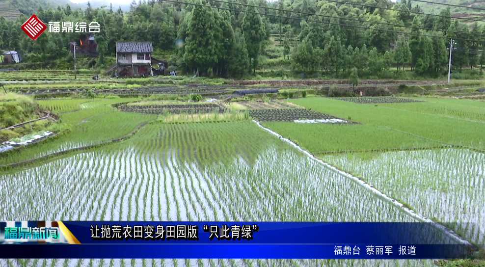 讓拋荒農(nóng)田變身田園版“只此青綠”