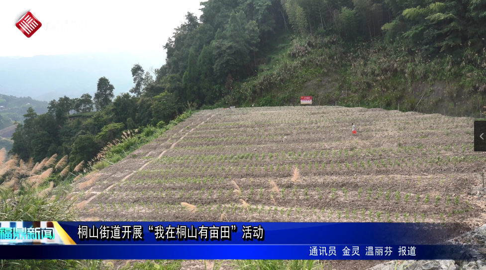 桐山街道開展“我在桐山有畝田”活動