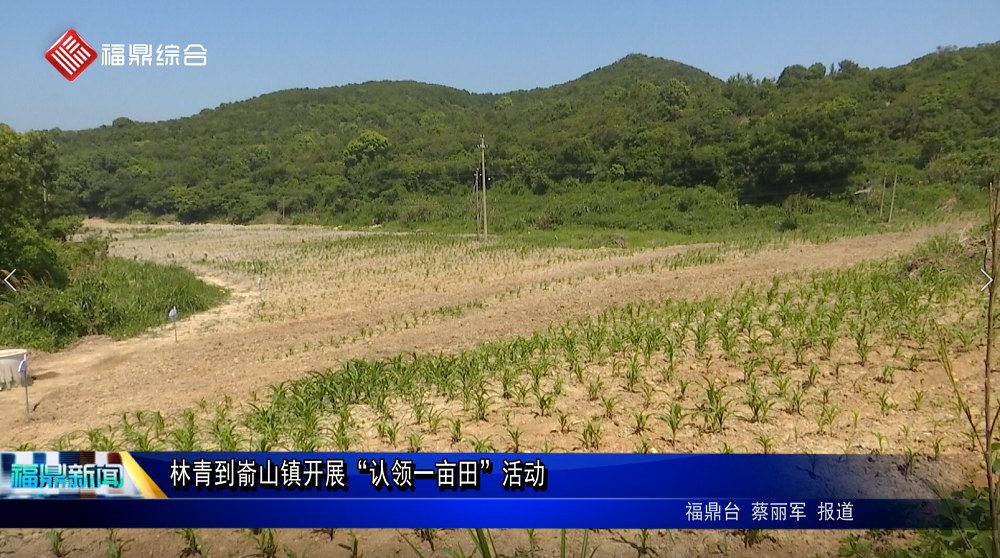 林青到崳山鎮(zhèn)開展“認領(lǐng)一畝田”活動