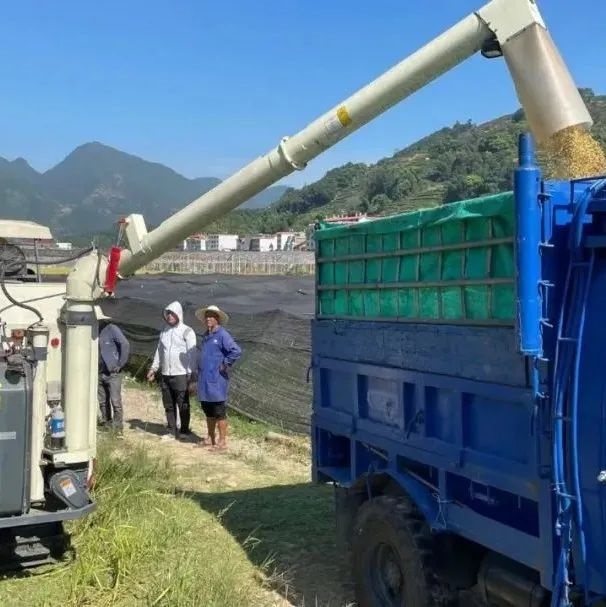 厲害了，全程機(jī)械化！