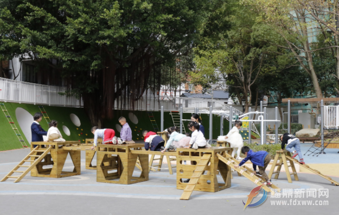 福鼎實(shí)驗(yàn)幼兒園教師熱議黨的二十大報告