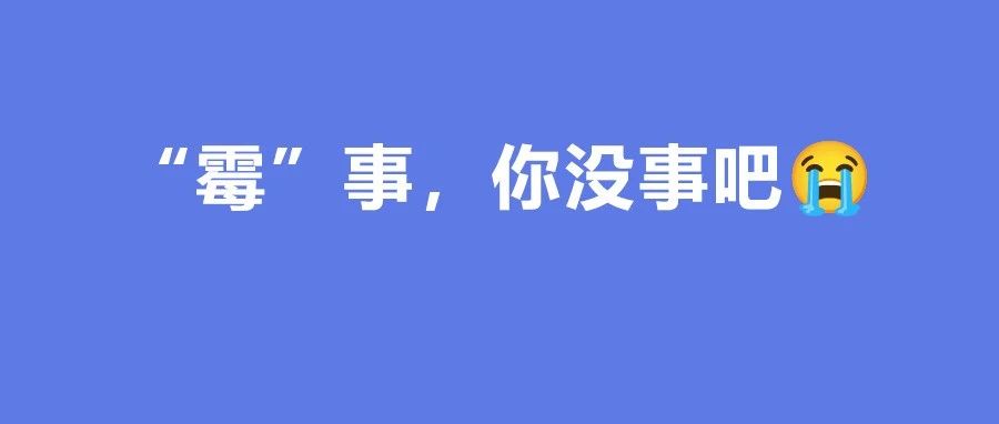 最近的天氣有多癲？干皮都不干了，人也發(fā)“霉”了