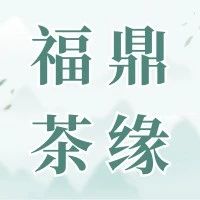 福鼎茶緣丨散茶儲存